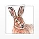 Waggy Dogz Cards - Hare