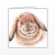 Waggy Dogz Cards - Rabbit