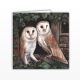 Waggy Dogz Cards - Barn Owl