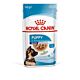 Royal Canin Maxi Puppy