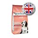 Arden Grange Adult Salmon & Rice Dog Food