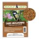 Bradeley Green Dried Mealworms 