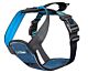 CarSafe Crash Tested Dog Harness in Blue