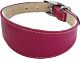 Whippet Collar