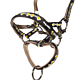 DM PADDED HEAD COLLAR 2