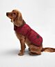 Barbour Dog Bone Quilted Dog Coat