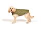 QUILTED DOG COAT- FOREST GREEN