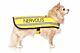 FriendlyDog Nervous Dog Coat