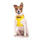 FriendlyDog Nervous Dog Vest Harness