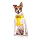 FriendlyDog Nervous Dog Vest Harness