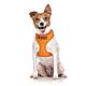 FriendlyDog No Dog Vest Harness