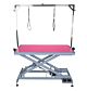 Aeolus FT-808 Electric Grooming Table