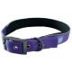 Hem & Boo - Reflective Padded Collar - Purple