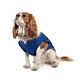 Ancol Dog Cooling Coat