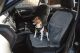 Henry Wag Car Seat Cover