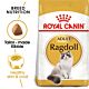 Royal Canin Ragdoll Cat Food 10kg