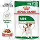 Royal Canin Mini Adult 12x85g