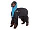 Show Tech+ Mesh Straightening Coat for Medium Irish Setters and Other Gundogs