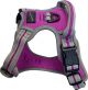 Hem & Boo Sports Harness - Purple