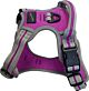 Hem & Boo Sports Harness - Purple