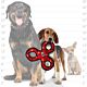 Tuffy Jr Ultimate 3 Way Tug Red Paw