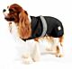 Danish Design 2 in 1 Dog Coat in Purple