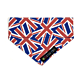 Ditsy Pet Union Jack Slide on Bandana