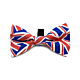 Ditsy Pet Union Jack Dickie Bow