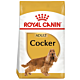 Royal Canin Cocker 12Kg