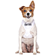 FriendlyDog Deaf Vest Harness - Small