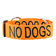 FriendlyDog No Dogs Collar